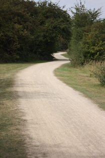 photo of good path